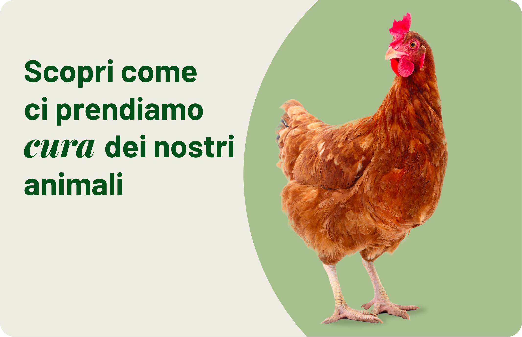 Amadori-benessere-animale-00-copertina