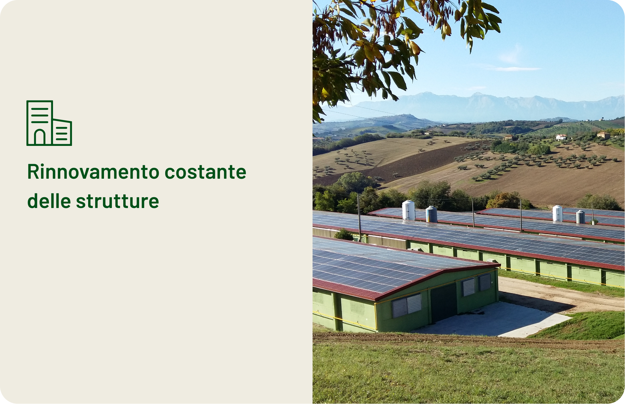 Amadori-benessere-animale-02-rinnovamento