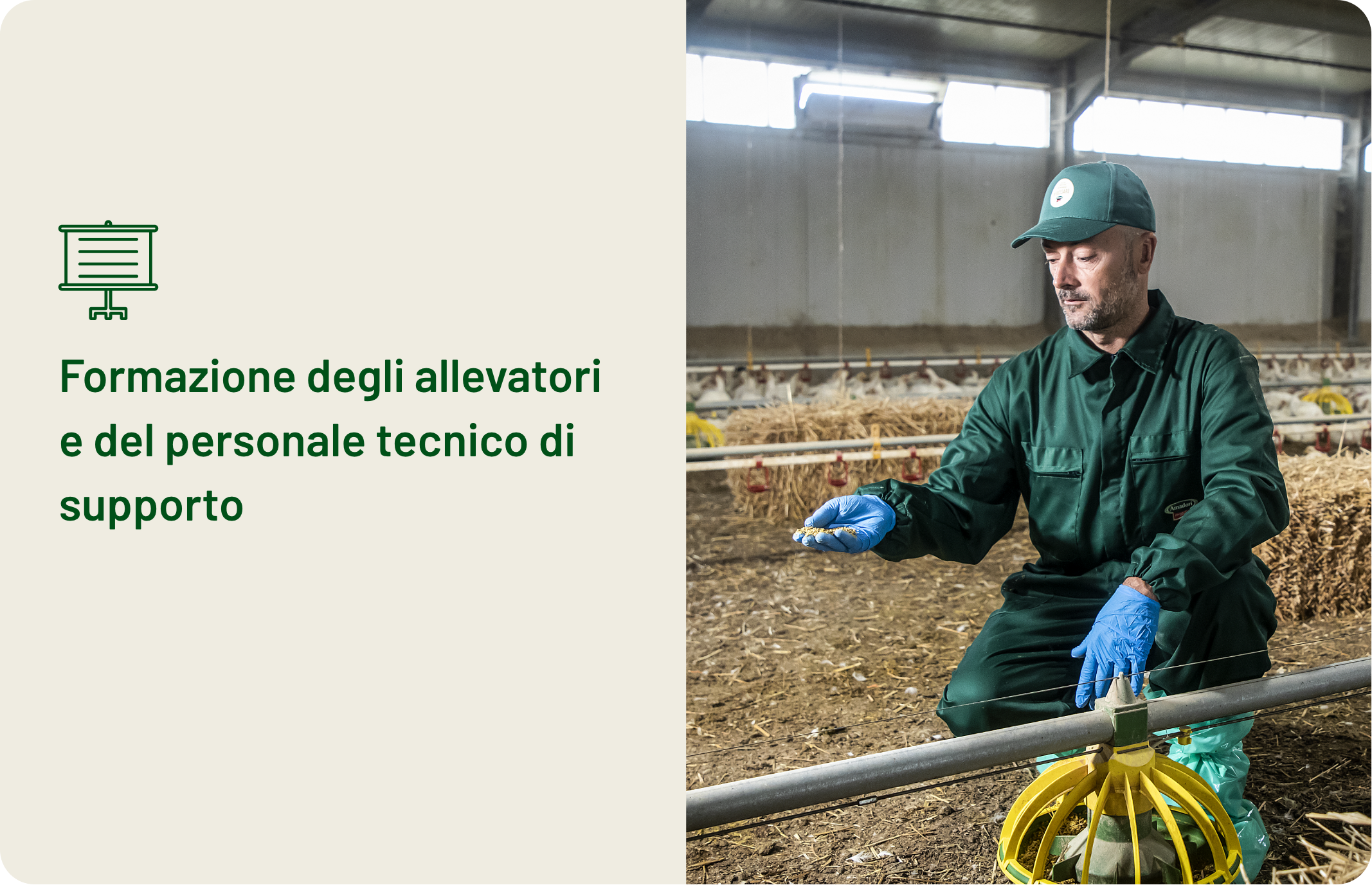 Amadori-benessere-animale-03-formazione-degli-allevatori