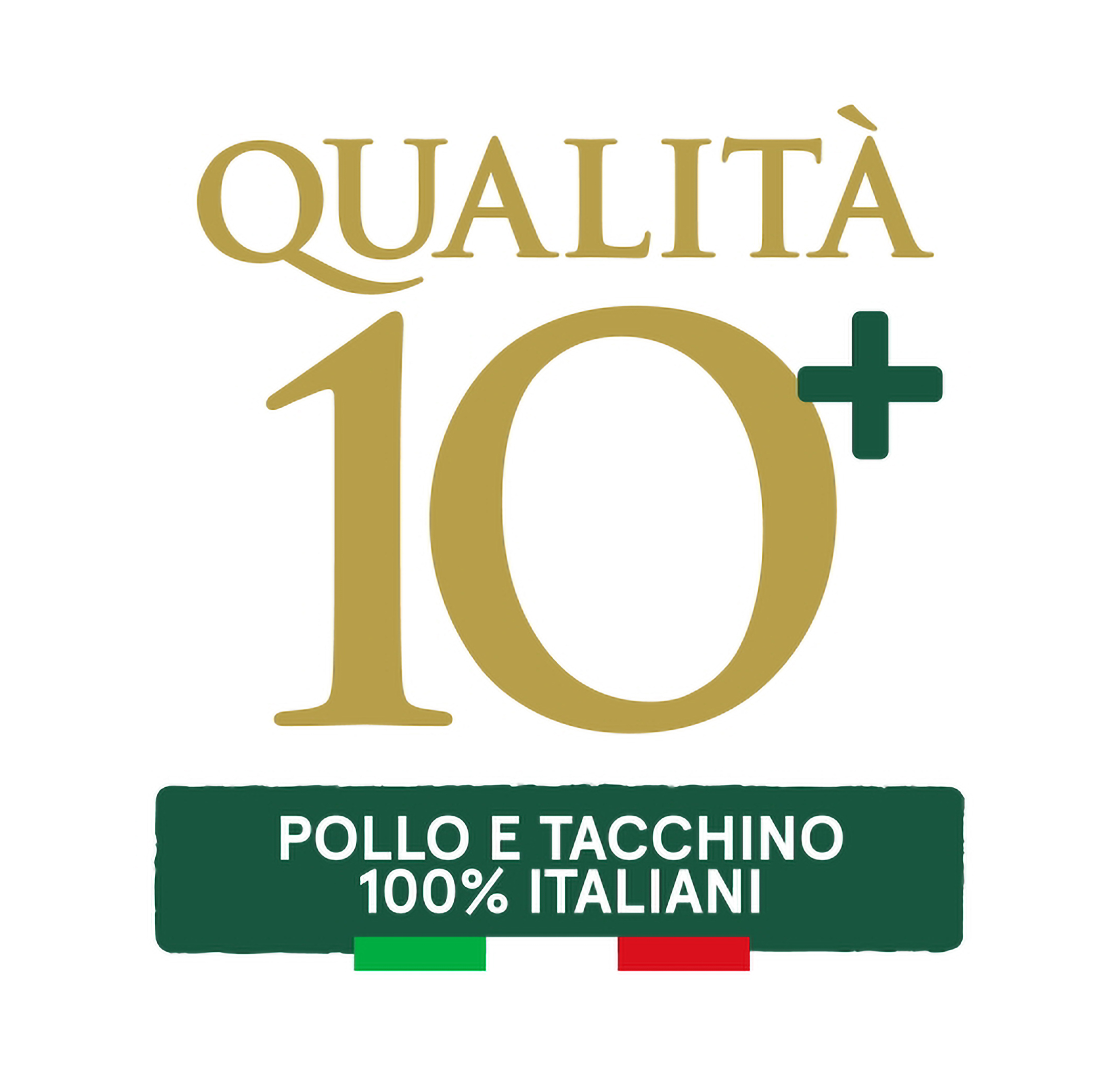 Qualita-10+