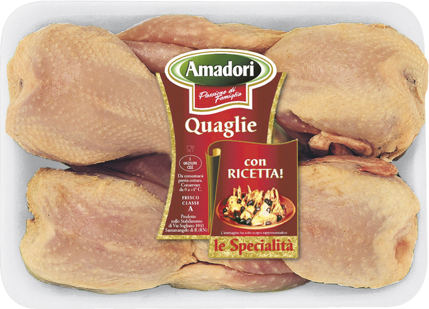Quaglia