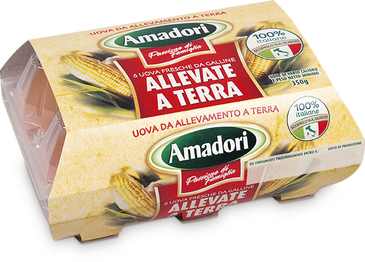 Uova da allevamento a terra
