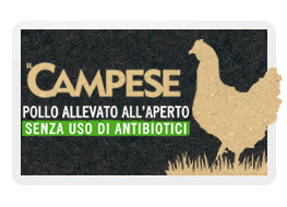 Il_campese_carousel
