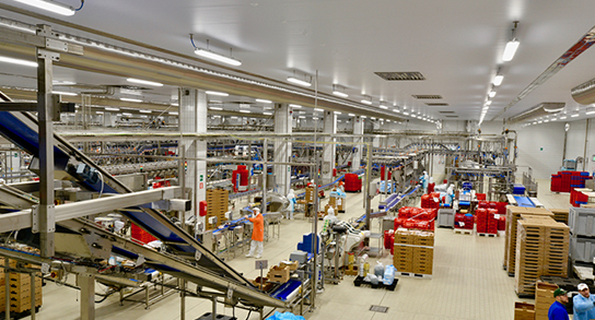 sicurezza-sul-lavoro-1 sicurezza-sul-lavoro-1